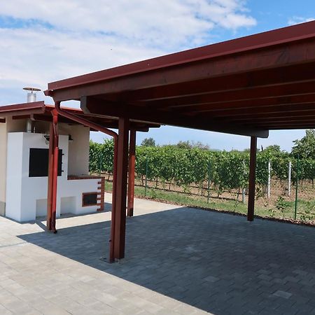 Apartman Matyas Drnholec 外观 照片
